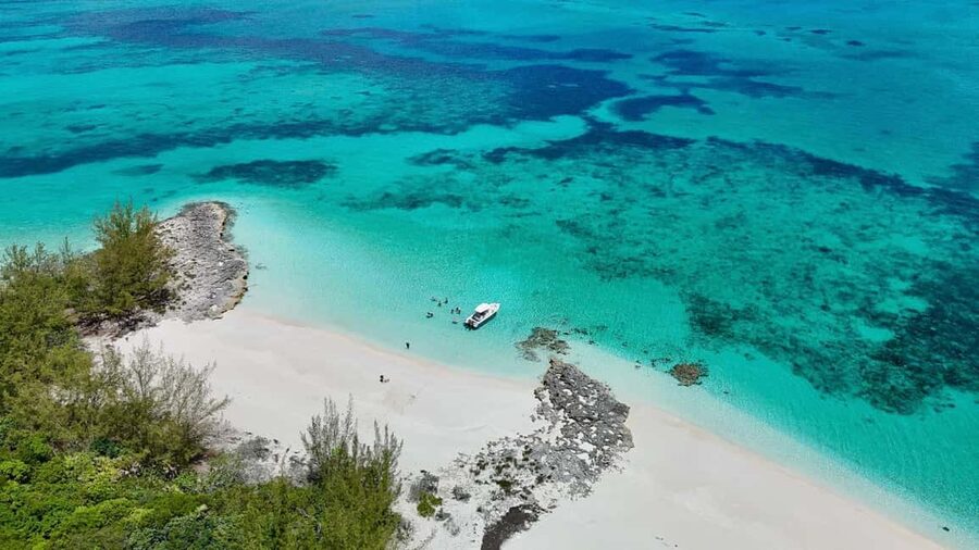 Paradise Found In Hog Haven: Ultimate Beach Escape - Who will enjoy this Rose Island outing most