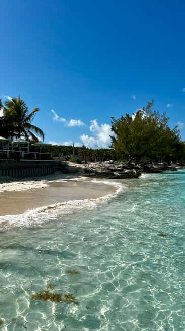 Paradise Found In Hog Haven: Ultimate Beach Escape - Should you book Paradise Found in Hog Haven?