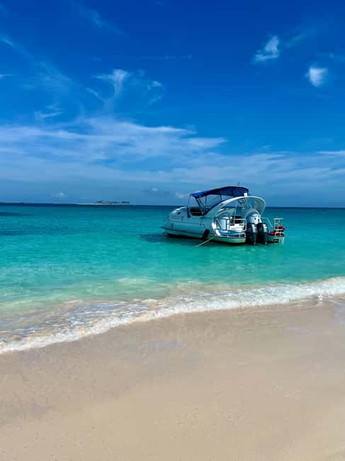 Paradise Island: Glass-Bottom Boat Tour with Live Commentary - Crossing Nassau Harbor on the hydrofoil