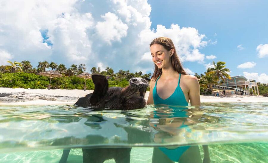 Paradise Island: Rose Island Tour with Swimming Pigs & Lunch - The boat ride from Paradise Island