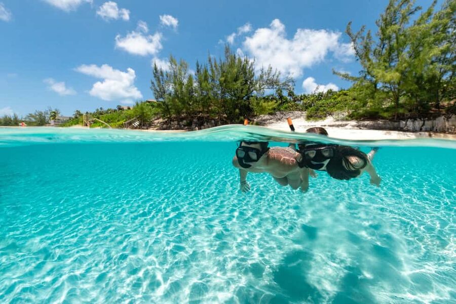 Paradise Island: Rose Island Tour with Swimming Pigs & Lunch - Lunch with a Lower Harbor view