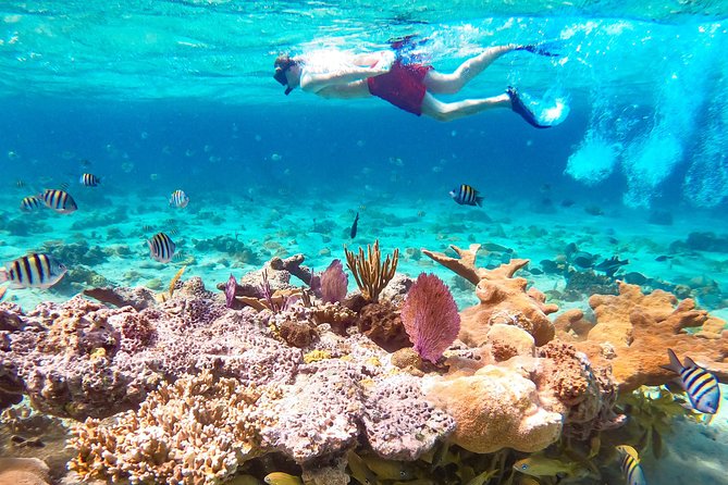 Pearl Island Bahamas Snorkeling Experience and Lunch - Arriving at Pearl Island
