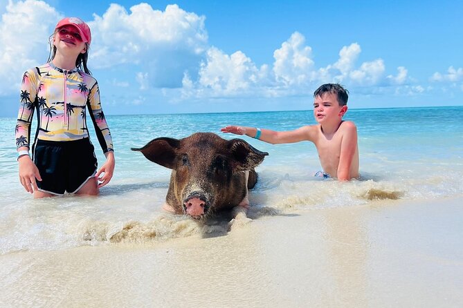 Perfect Day Swimming Pigs, Turtles, Reef Snorkel & Lunch - The six details that shape your day