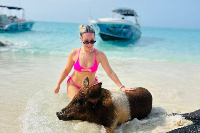 Perfect Day Swimming Pigs, Turtles, Reef Snorkel & Lunch - From Montagu Beach to the outer islands