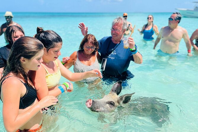 Perfect Day Swimming Pigs, Turtles, Reef Snorkel & Lunch - Who will enjoy this Nassau excursion
