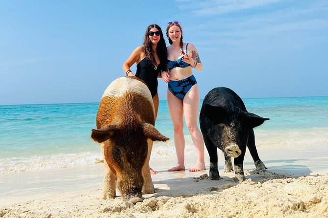 Perfect Day Swimming Pigs, Turtles, Reef Snorkel & Lunch - Atholl Island reef snorkeling in 30 minutes
