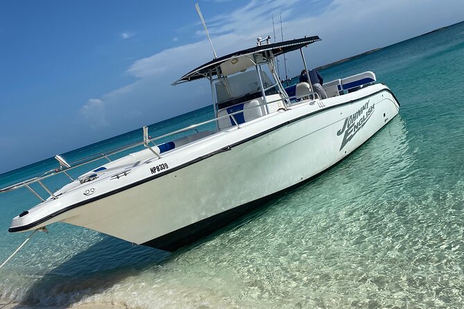 Pigs Beach, Green Turtle Cay, Rose Island Private Tour - Pig Beach: the headline attraction with an extra fee