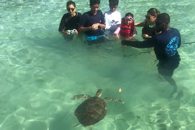 Pink Sand Beach and Swimming Pigs Adventure from Nassau - Harbour Island lunch and golf carts