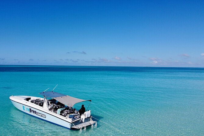 Pink Sand Beach and Swimming Pigs Adventure from Nassau - Pink Sands Beach for one hour