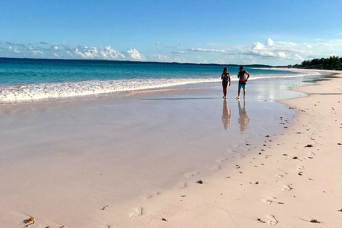 Pink Sand Beach and Swimming Pigs Adventure from Nassau - Sea turtles in a shallow Eleuthera cove