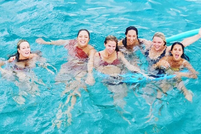 Powerboat and Snorkel Experience with Swimming Pigs and Turtles - Meeting the swimming pigs