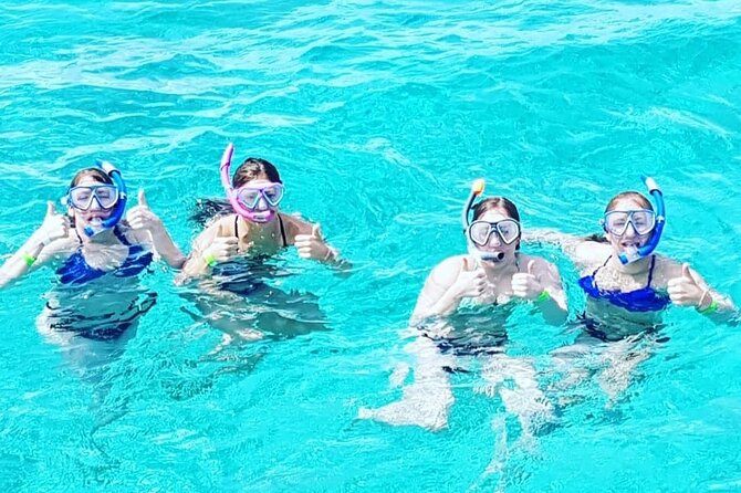 Powerboat and Snorkel Experience with Swimming Pigs and Turtles - Green Cay and the turtle sanctuary