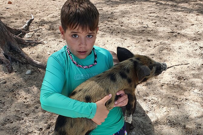 Powerboat and Snorkel Experience with Swimming Pigs and Turtles - Sandy Cay and the beach break
