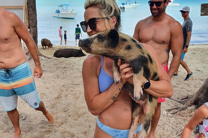 Powerboat and Snorkel Experience with Swimming Pigs and Turtles - The crew and the feel of a small outing