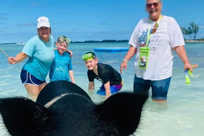 Powerboat and Snorkel Experience with Swimming Pigs and Turtles - Starting at Paradise Island Ferry Terminal
