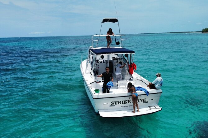 Private 38' Defender Sportfishing/Swim with Pigs in Nassau - Comfort, supplies, and family fit