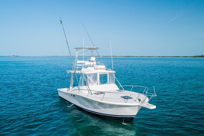 Private Bahamas Half-Day Fishing Tour from New Providence - The crew can make or break the morning