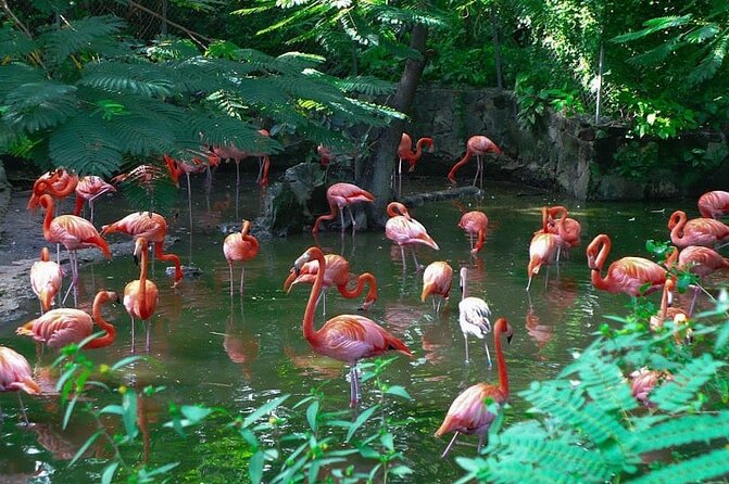 Private Beach Day/Guided TourThrough New Providence Island - Key points to know before booking