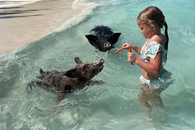 Private Boat Swim and Snorkel Adventure to Rose Island - Snorkeling coral reefs and swimming with turtles