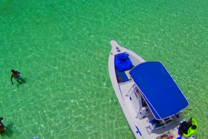 Private Boat Tours & Fishing Charters in Nassau, Bahamas - A Nassau boat day built around the swimming pigs