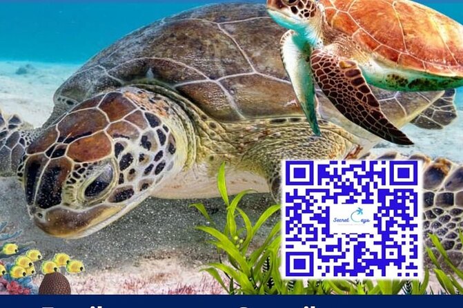 Private Charter for snorkeling, swimming pigs, turtles & fishing.... - A private boat day from Paradise Island