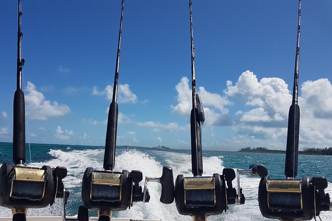 Private Charter for snorkeling, swimming pigs, turtles & fishing.... - Meeting point, timing, and practical planning