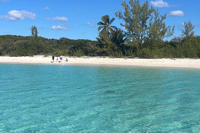 Private Eleuthera Island: Swim With Pigs, Turtles & Stingrays - Why this day works best as a private charter