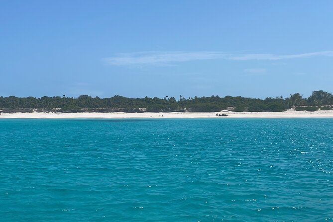 Private Eleuthera Island: Swim With Pigs, Turtles & Stingrays - Who should book this Eleuthera day