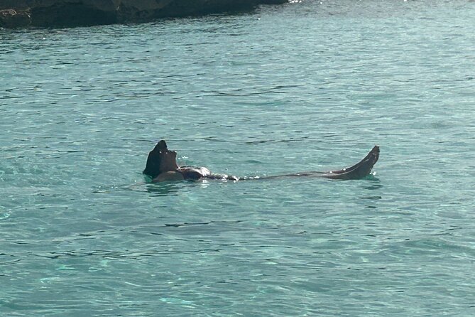 Private Full Day Cruise Tour in Rose Island with Snorkeling - What the six-hour route includes