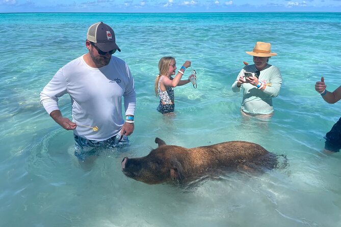 Private Full Day Cruise Tour in Rose Island with Snorkeling - How the $1,150 price works out