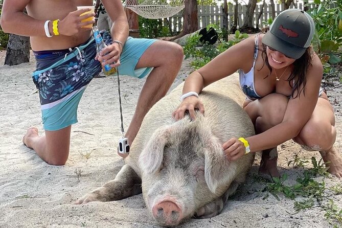 Private GroupTour Pigs/Turtles/Snorkeling/Lunch/Pickup/Dropoff - Key points at a glance