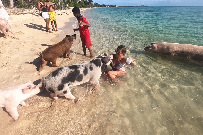 Private GroupTour Pigs/Turtles/Snorkeling/Lunch/Pickup/Dropoff - Gilligan’s Island adds a scenic pause