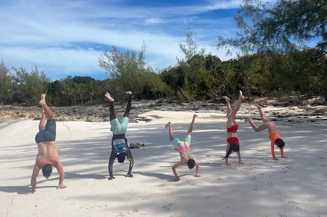 Private Rose Island, Swimming Pigs, Snorkeling and Turtles - The swimming pigs are an optional add-on