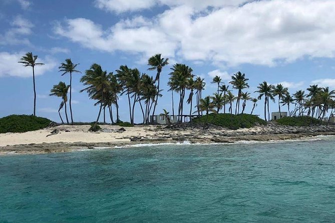 Private Rose Island, Swimming Pigs, Snorkeling and Turtles - What the $925 price really buys