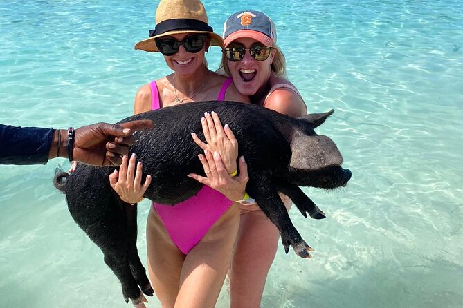 Private Rose Island, Swimming Pigs, Snorkeling and Turtles - From Nassau to the outer islands