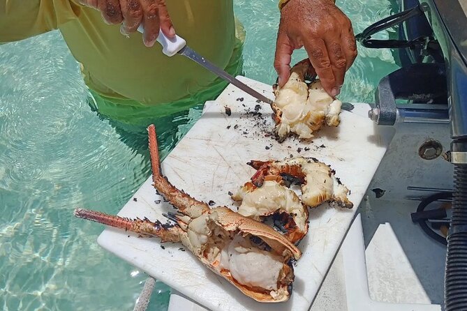 Private Snorkeling And Fishing Activity - Practical Details For A Smoother Day
