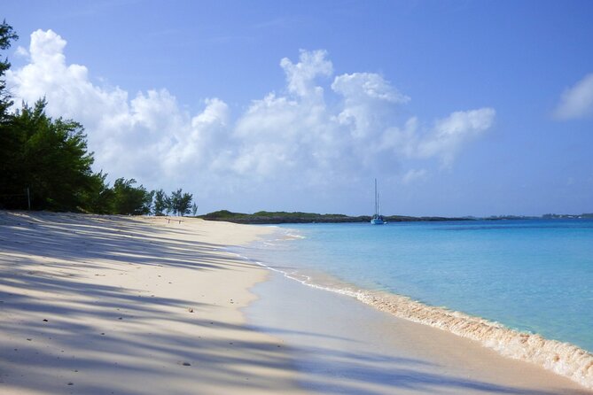 Private Snorkeling or Fishing from Nassau - 31ft Sitting Pretty - Snorkeling reefs, turtles, and small sea life