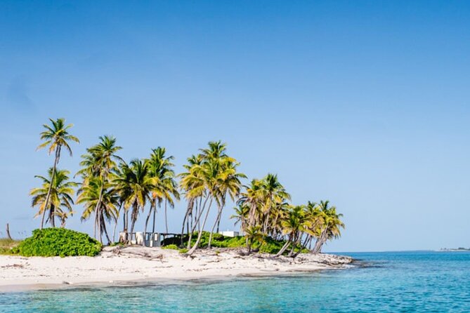 Private Snorkeling or Fishing from Nassau - 31ft Sitting Pretty - How much value do you get for $825?