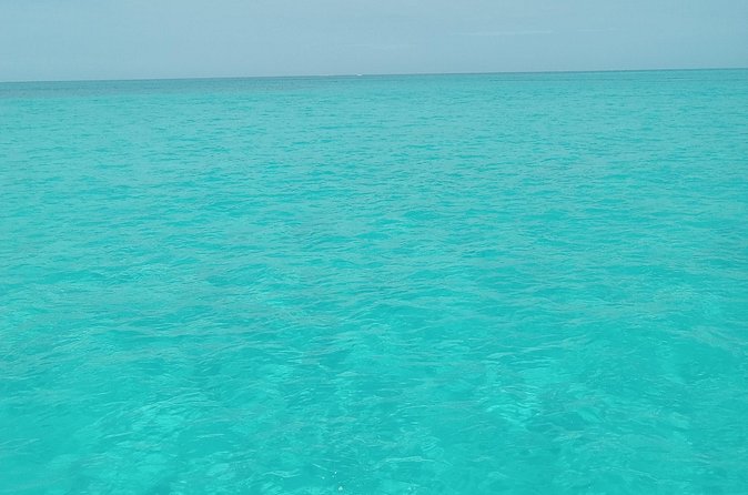 Private speed boat beach and bar hopping visiting Rose island - What families and mixed-age groups should expect