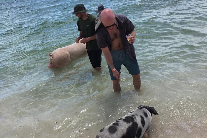 Private Swim With Pigs and Snorkeling in Paradise Tour - Coral reefs, tropical fish, and snorkel time