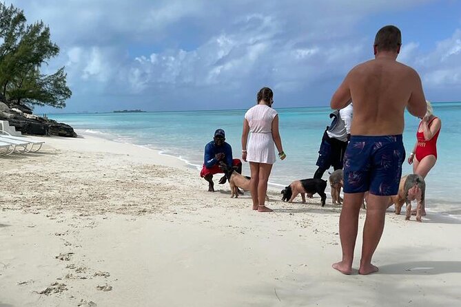 Private Swim With Pigs and Snorkeling in Paradise Tour - A secluded beach and time to slow down