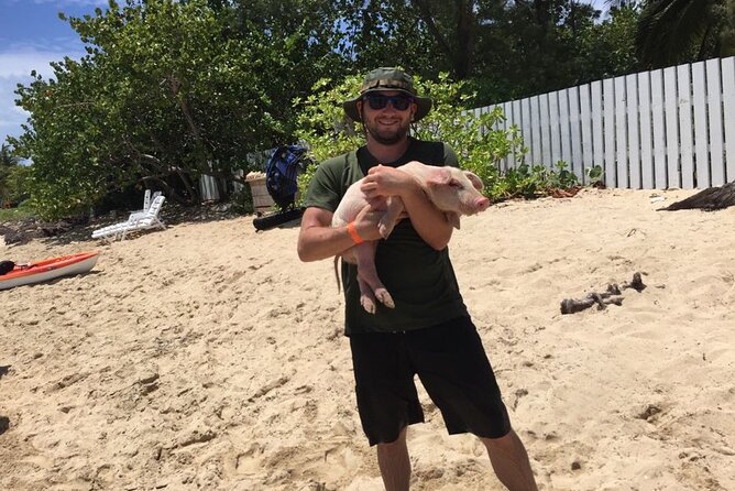 Private Swim With Pigs and Snorkeling in Paradise Tour - How family-friendly is the outing?