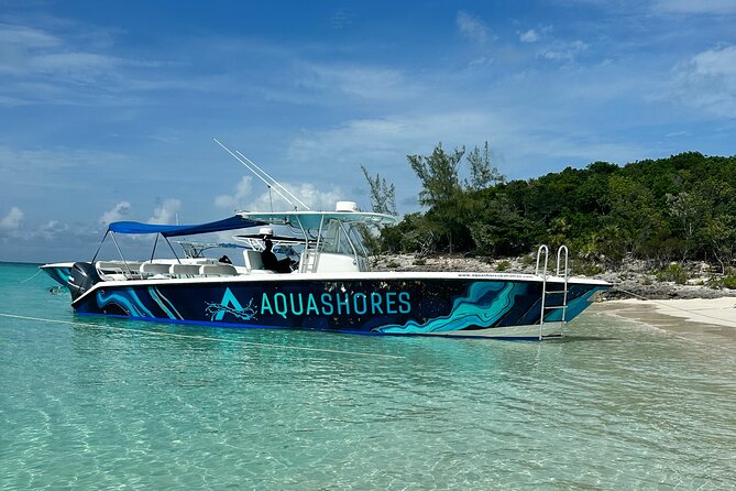 Private Tour 45ft Powerboat to Nearby Islands - Swimming pigs at the end of the route