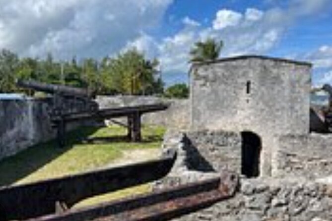 Private Transport to Airport, Hotel, Port in Nassau Bahamas - Price, group size, and overall value