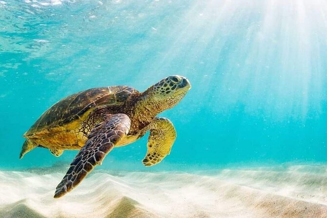 Rose Island 3 Island Luxury Private Tour(8hrs) - How the $2,500 price compares with the day you receive
