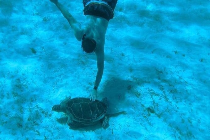 Rose Island Adventure: Snorkel, Sea Turtles, and Private Beach - What you eat and drink