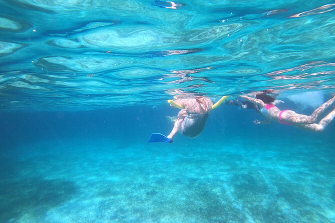Rose Island Adventure: Turtle Swim and Snorkel - Practical tips for a smoother outing