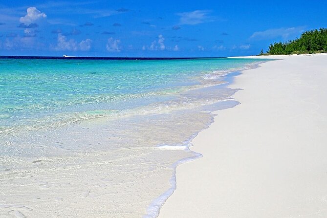 Rose Island Half-Day Snorkeling Cruise - Swimming with green turtles at Green Cay