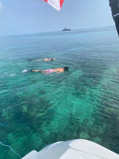 Rose Island: Pig Beach, Snorkeling, Sea Turtles, Beach - Coral-reef snorkeling near Rose Island