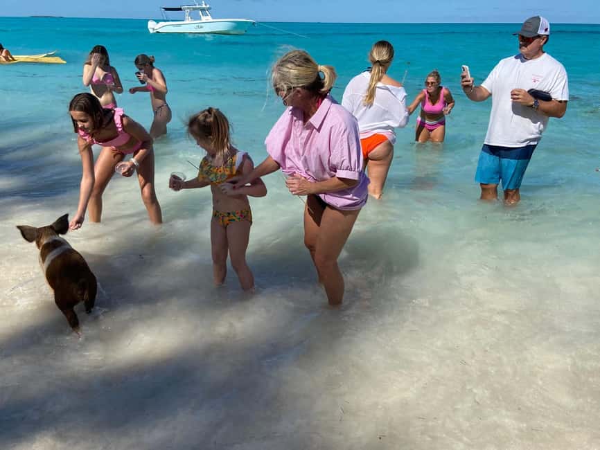 Rose Island: Pig Beach, Snorkeling, Sea Turtles, Beach - Who will enjoy this private charter most